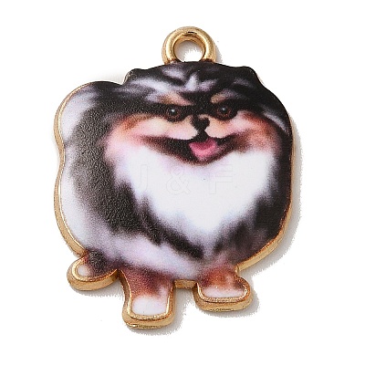 Alloy Pendants PALLOY-E028-01LG-02-1