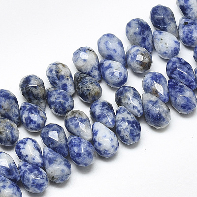 Natural Blue Spot Jasper Beads Strands G-S357-C02-06-1