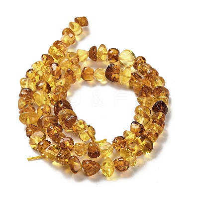 Natural Amber Beads Strands G-L095-L01-01-1