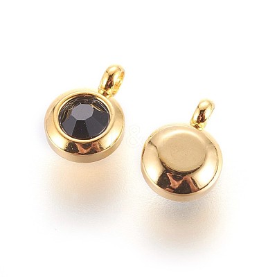 304 Stainless Steel Rhinestone Charms STAS-P237-10G-06-1