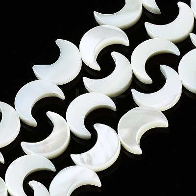 Natural Trochid Shell/Trochus Shell Beads Strands X-SSHEL-N032-25-1