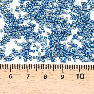 MIYUKI Delica Beads SEED-MY11-DB2516-1