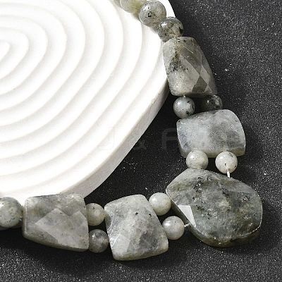 Natural Labradorite Faceted Bib Graduated Beaded Necklaces for Women NJEW-B128-01P-1