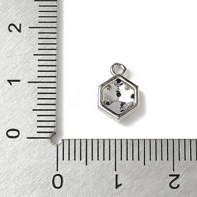 Brass Micro Pave Cubic Zirconia Charms KK-I276-39P-1