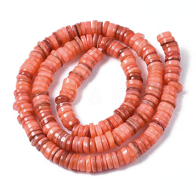 Natural Freshwater Shell Beads Strands X-SHEL-S278-025H-1