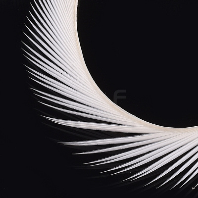 Goose Feather Costume Accessories FIND-T037-09K-1