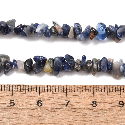 Natural Sodalite Chips Beads Strands F024-1