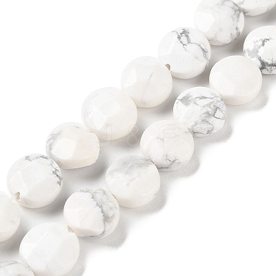 Natural Howlite Beads Strands G-K357-B06-01-1