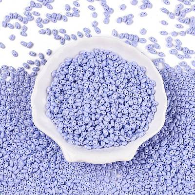 Baking Paint Glass Seed Beads SEED-T006-03J-1