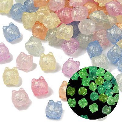 Luminous Transparent Acrylic Beads OACR-B031-20-1