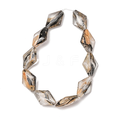 Transparent Handmade Lampwork Beads LA-CBAF0C8-02H-1