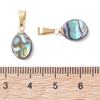 Abalone Shell/Paua Shell Pendants PALLOY-JF05265-1