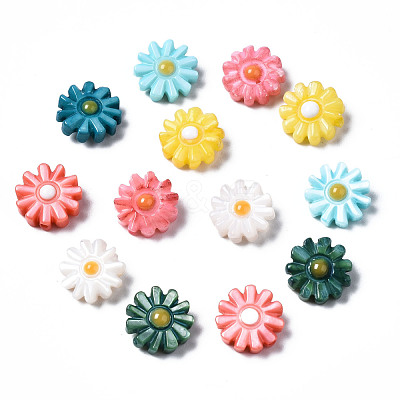 Natural Freshwater Shell Beads SHEL-N003-20C-1