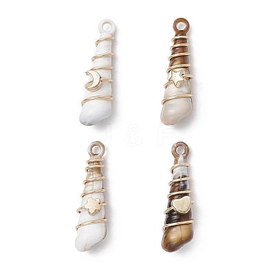Copper & Acrylic & Plastic Pendants PALLOY-JF03887-02-1
