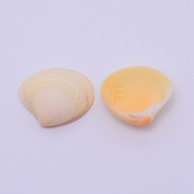 Natural Conch Shell Beads SSHEL-WH0003-01-1