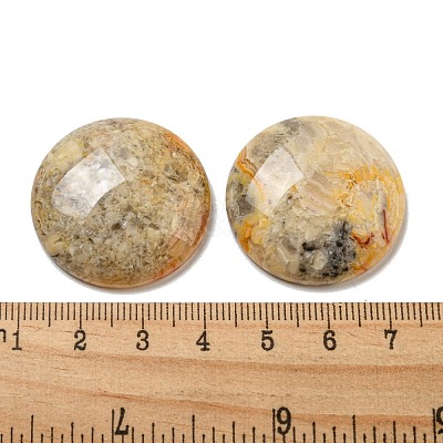 Natural Crazy Agate Cabochons G-C115-02B-23-1