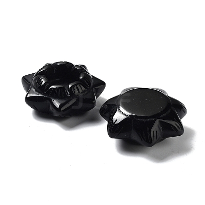 Natural Obsidian Display Decorations DJEW-F007-E05-1