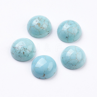 Natural Howlite Cabochons G-E482-02A-1
