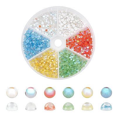 6 Bagds 6 Colors Resin Cabochons MRMJ-PH0002-82-1