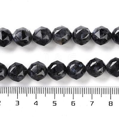 Natural Larvikite Beads Strands G-NH0021-A04-02-1