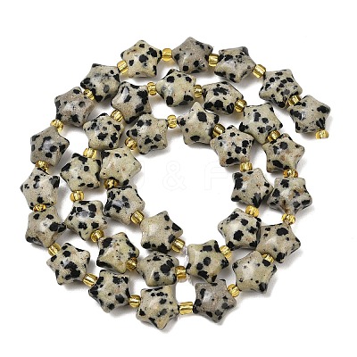 Natural Dalmatian Jasper Beads Strands G-Z080-A08-10mm-1