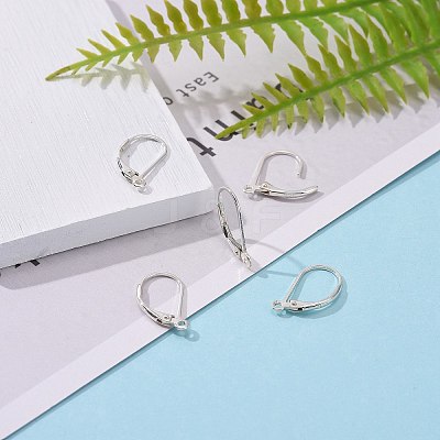 925 Sterling Silver Leverback Earring Findings STER-G027-22S-1