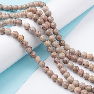 Natural Maifanite/Maifan Stone Beads Strands G-P451-01A-B-1