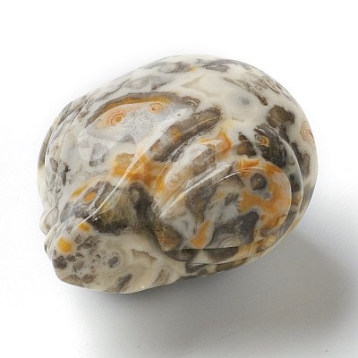 Natural Crazy Agate Home Display Decorations G-H253-B05-1