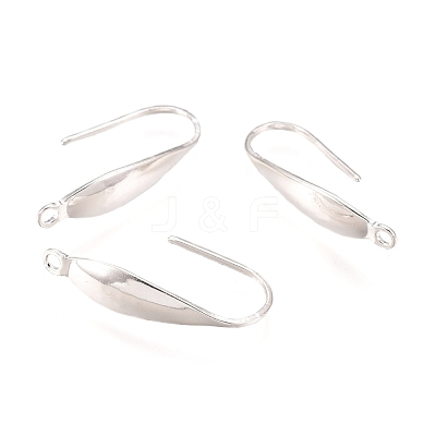 316 Surgical Stainless Steel Earring Hooks STAS-P166-10S-1