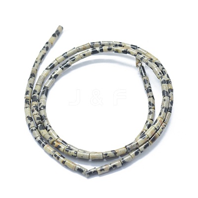 Natural Dalmatian Jasper Beads Strands G-F631-B07-1