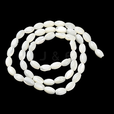 Natural Trochus Shell Beads Strands BSHE-E030-02A-1