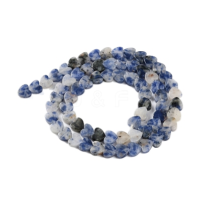 Natural Blue Spot Jasper Beads Strands G-M403-A21-02-1
