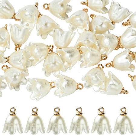 30Pcs Opaque Resin Imitation Pearl Charms FIND-YW0009-02-1