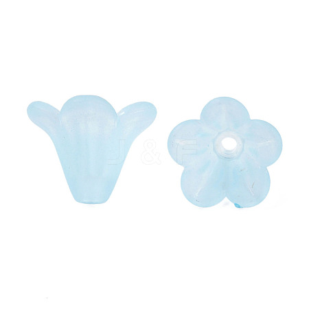 Frosted Acrylic Beads PL692-10-1