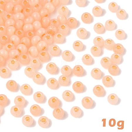 10G Glass Seed Beads SEED-YW0003-03B-1