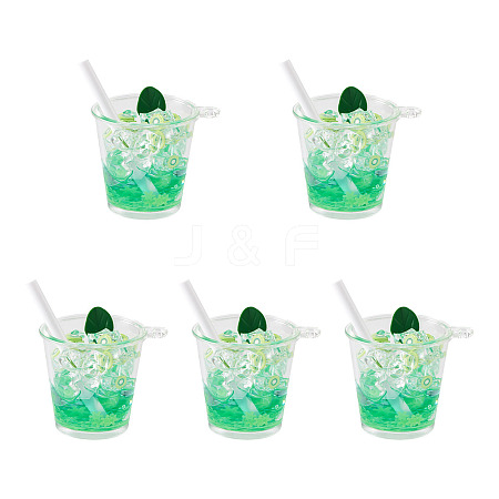 Transparent Resin Big Pendants RESI-TAC0019-04A-1