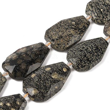 Natural Snowflake Obsidian Beads Strands G-P548-B20-01-1