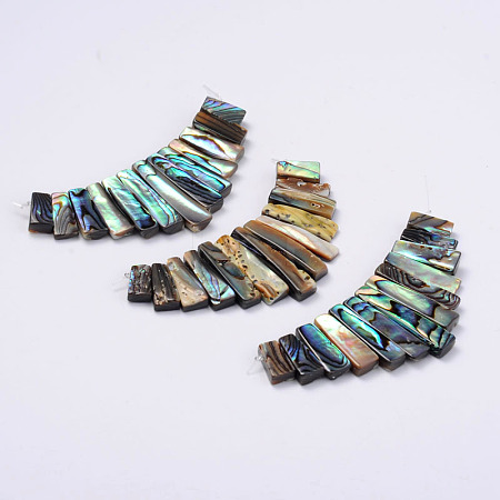 Rectangle Natural Abalone Shell/Paua ShellGraduated Beads Strands SSHEL-P002-05-1