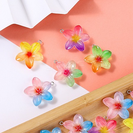 Transparent Resin Pendants RESI-A046-05F-1