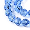 Transparent Glass Beads Strands EGLA-A035-T4mm-D14-3