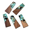 Opaque Resin & Walnut Wood Pendants RESI-T058-04K-1