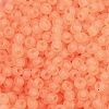 6/0 Luminous Glass Seed Beads X1-SEED-NH0001-01D-3