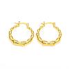 Brass Hoop Earrings EJEW-F250-08-G-1