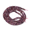 Natural Ruby Beads Strands G-F509-16-3mm-01-5