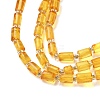 Natural Amber Beads Strands G-K387-G01-01-3