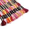6-Ply Polyester Embroidery Floss OCOR-FZ0001-01R-2