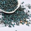 Transparent Inside Colours Glass Seed Beads SEED-H002-A-C223-1