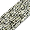 Natural Dalmatian Jasper Beads Strands G-P575-B03-6x1mm-2