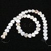 4 Strands Natural Freshwater Shell Beads Strands SHEL-PA0001-06-5