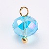 Glass Charms GLAA-P038-02G-2